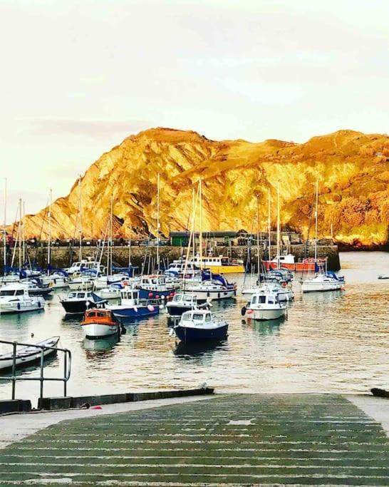 Paramount Apartments Ilfracombe, Arty Seaside Holiday Apartments المظهر الخارجي الصورة